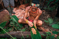 /album/fotogaleria-mentawai-ostrov-ludozrutov-zajazd-vy-a-my/mentaway-siberut-zajazd-jamajkanita-60-jpg/